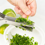Ciseaux multicouches multifonctionnels en acier inoxydable - Ciseaux de cuisine